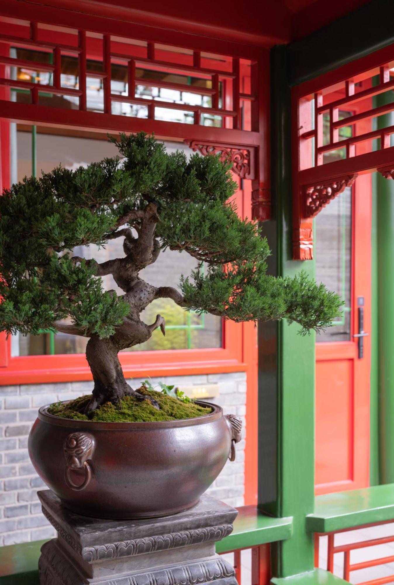 Xinxiang Yayuan Beijing Sihe Courtyard With Sky Garden Terrace Near Tiananmen Square Forbidden City Wangfujing Pedestrian Street And The Subway Экстерьер фото
